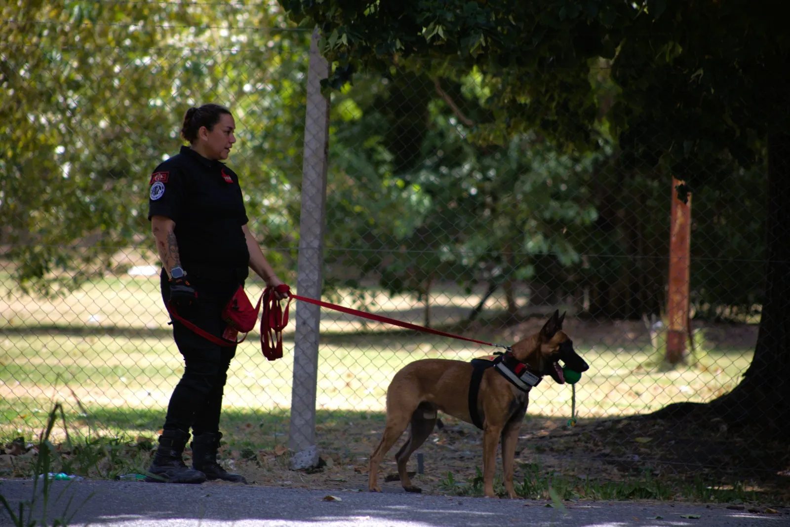 Unidad canina K9 de Bomberos Voluntarios Vuelta de Rocha